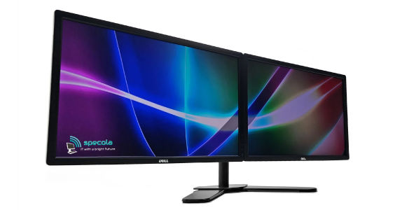 Dell 24 Inch Dual Monitor Bundle